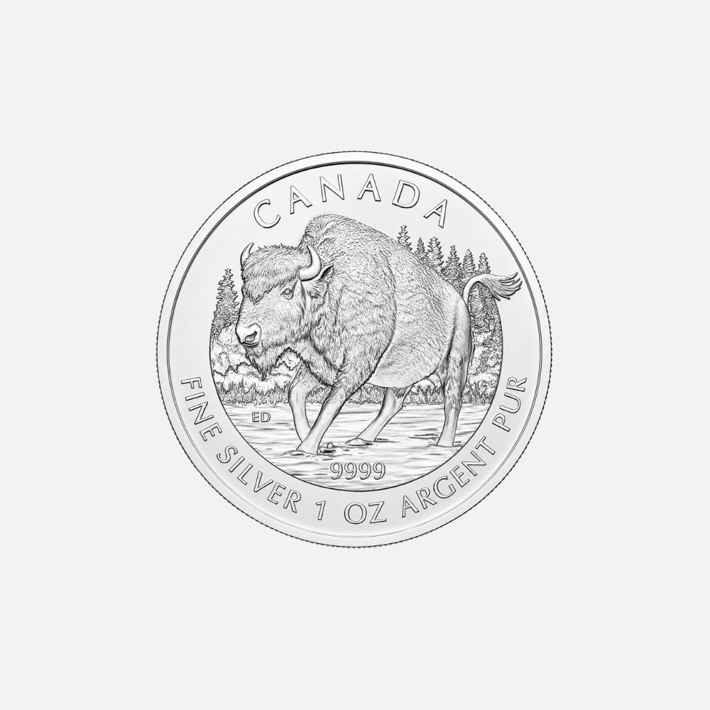Wildlife Canda 1 oz Silbermünze "Bison" 2013